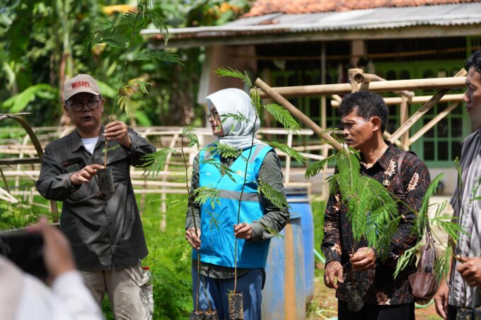 PLN EPI dan IPB kembangkan tanaman energi di Cilacap, dukung transisi energi dan beri manfaat ekonomi bagi warga lokal