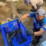 Jangan tertipu! Ikan sapu-sapu bukan perusak ekosistem. Diskusi FIB UI bongkar fakta mengejutkan akar kerusakan sungai dan krisis lingkungan kita.