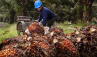 Harga CPO Malaysia bergerak datar di 4.541 ringgit per ton jelang rilis data stok sawit MPOB pekan depan.