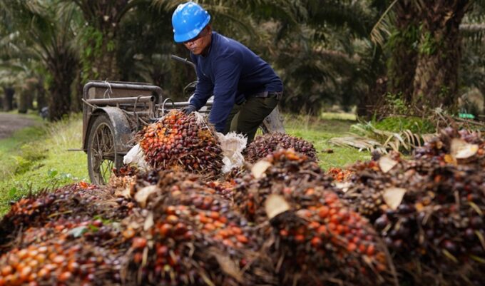 Harga CPO Malaysia bergerak datar di 4.541 ringgit per ton jelang rilis data stok sawit MPOB pekan depan.